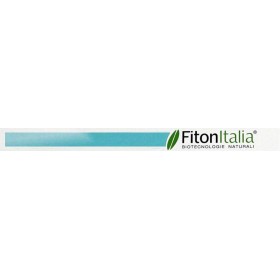Fiton