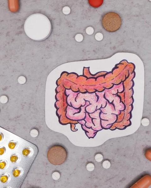 Qual è la differenza tra probiotici e fermenti lattici? Qual è la differenza tra probiotici e fermenti lattici?