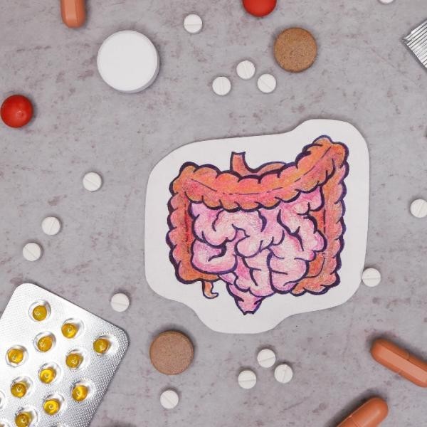 Qual è la differenza tra probiotici e fermenti lattici?